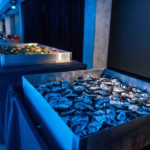 CD_OceanHighCO2_0354